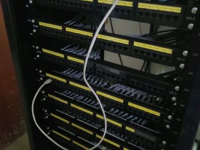 揭陽網絡維護與平面設計的融合 數字時代的品牌守護者